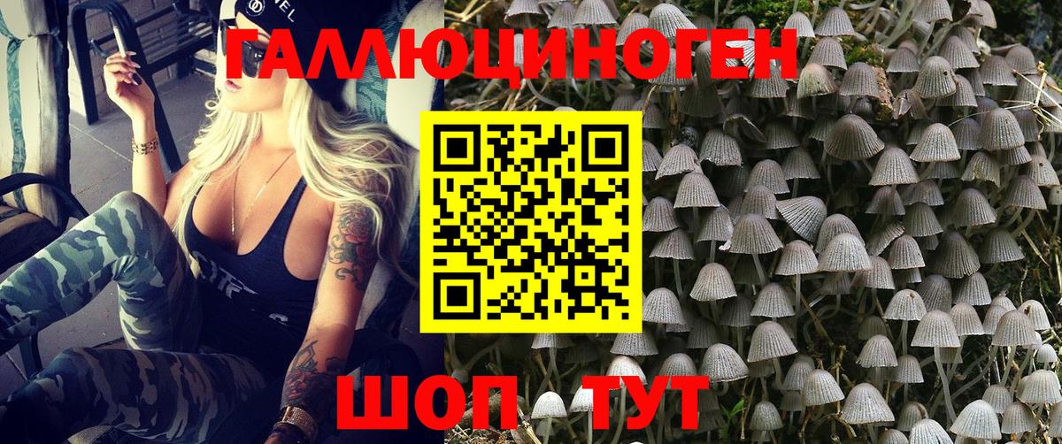 Тула  Галлюциногенные грибы мухоморы  Вход с VPN  Псилоцибиновые грибы мухоморы 