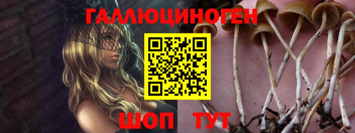Псилоцибиновые грибы Magic Shrooms Тула
